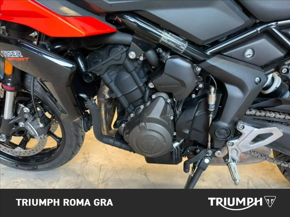 Triumph Tiger Sport 660 (2022 - 24) (9)