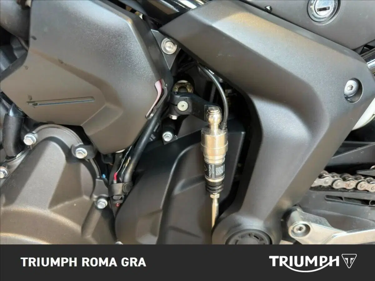 Triumph Tiger Sport 660 (2022 - 24) (15)