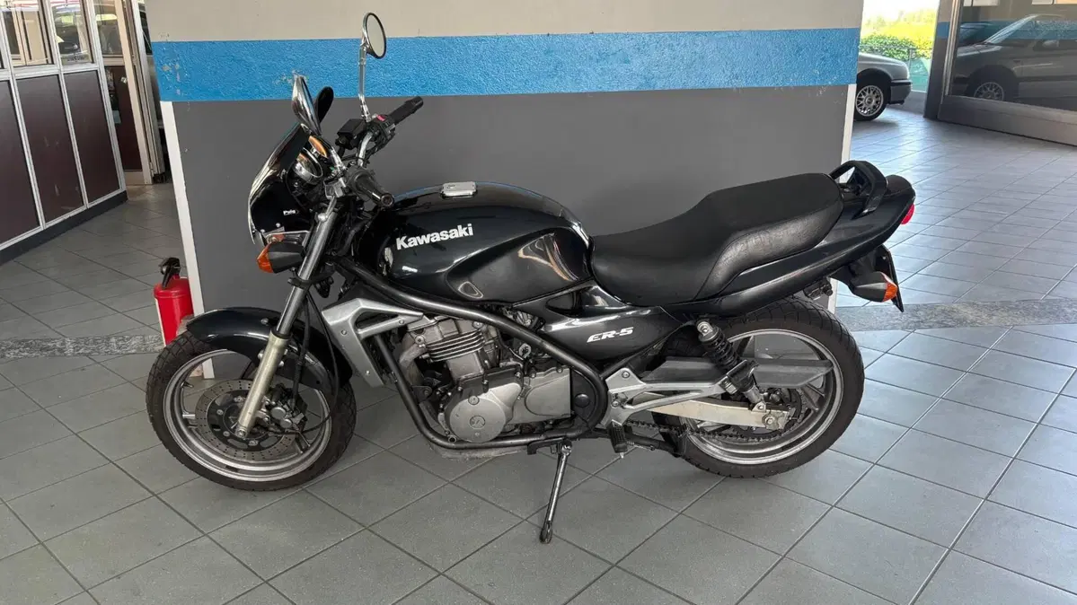 Kawasaki ER-5 500 (1996 - 00) (2)