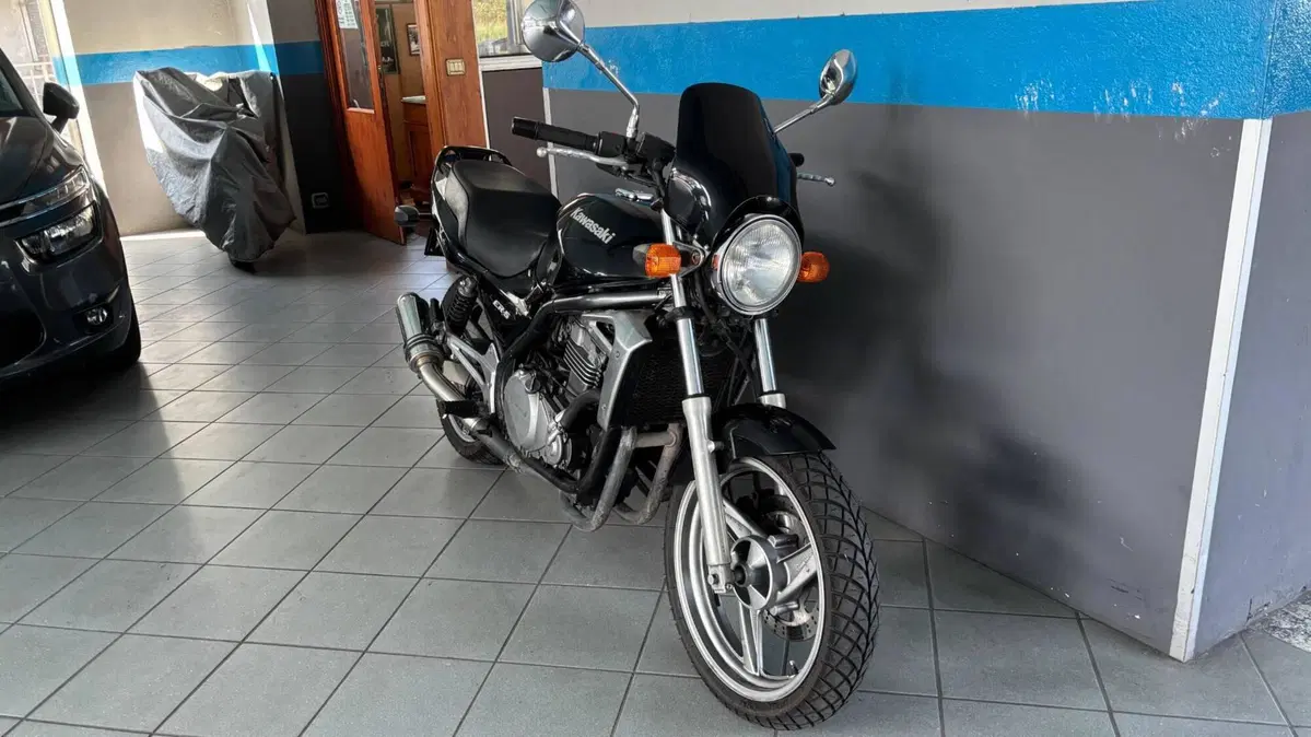 Kawasaki ER-5 500 (1996 - 00) (4)