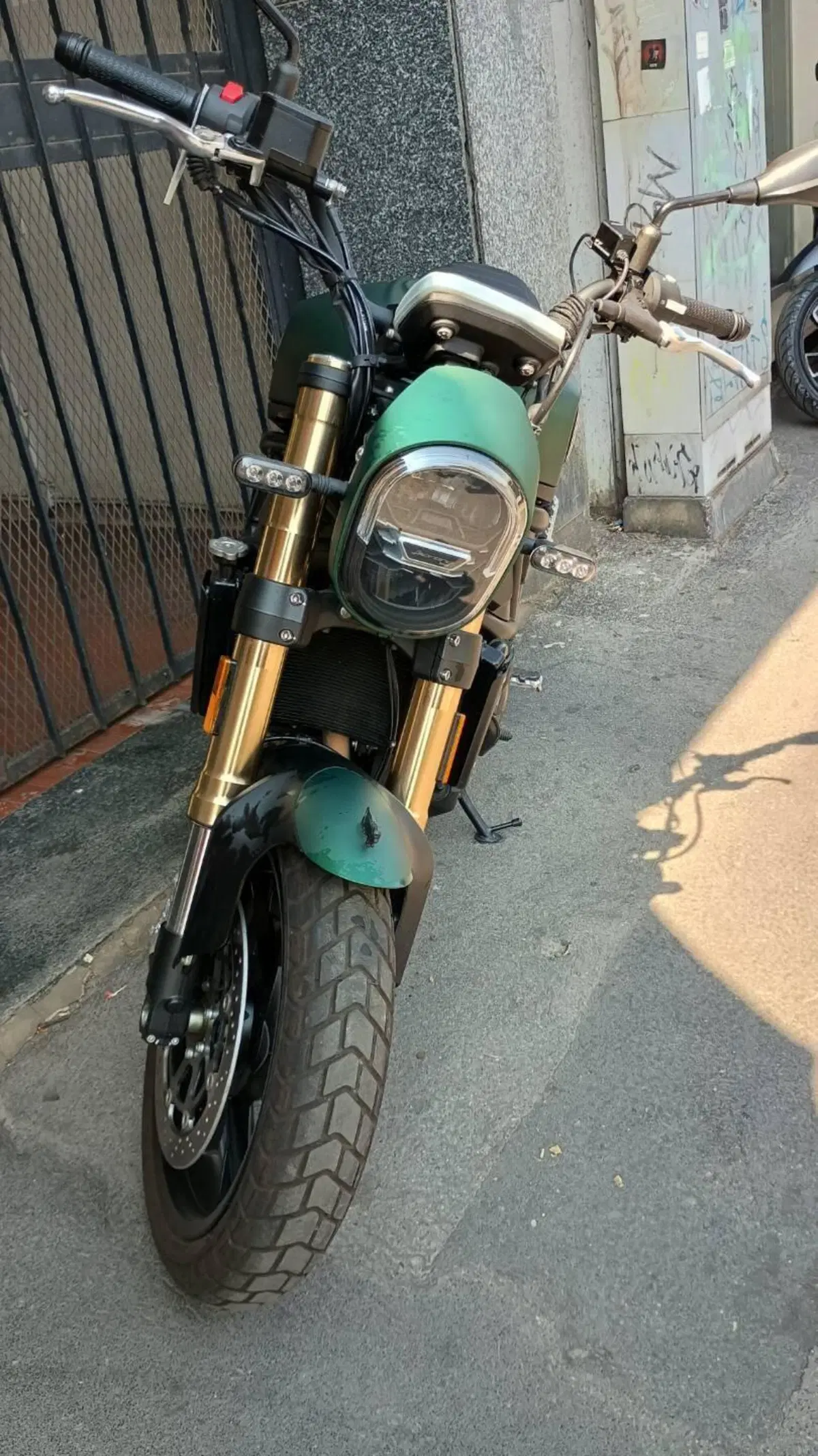 Benelli Leoncino 800 (2022 - 26) (2)