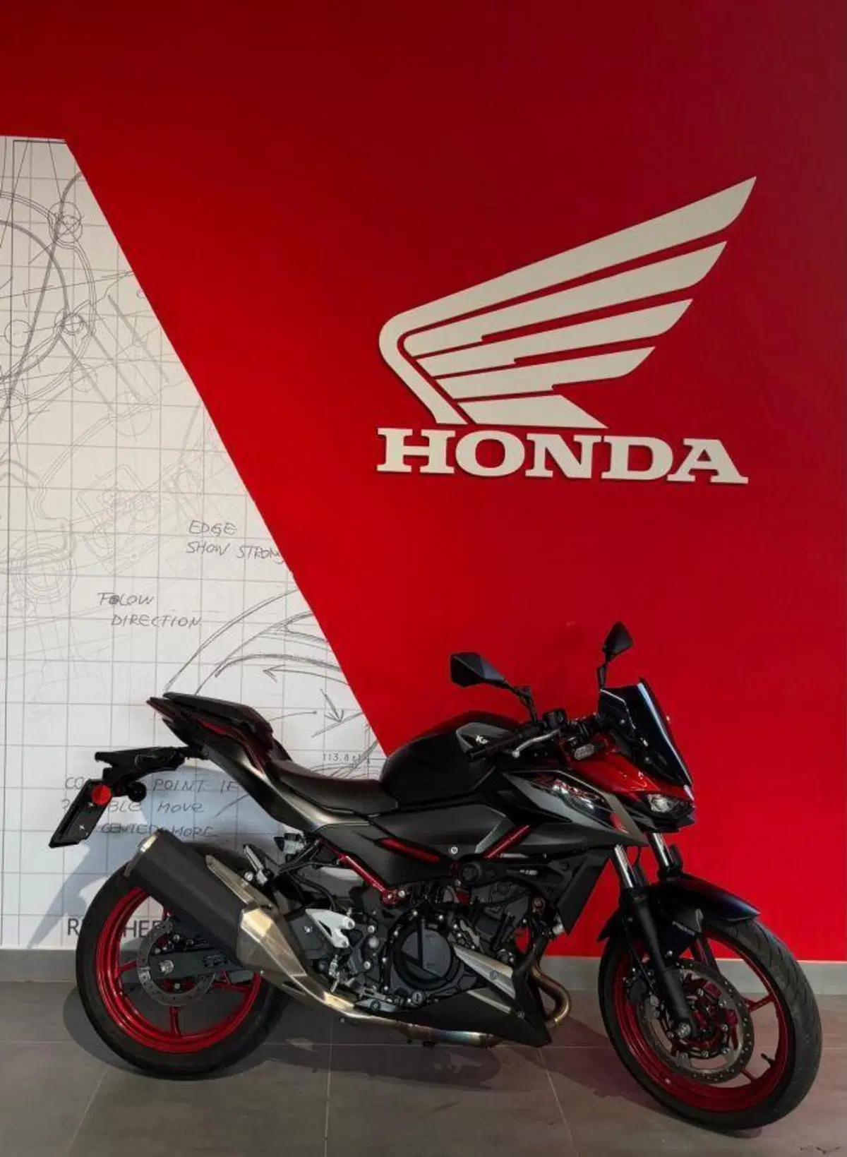 Kawasaki Z 500 (2024 - 26)