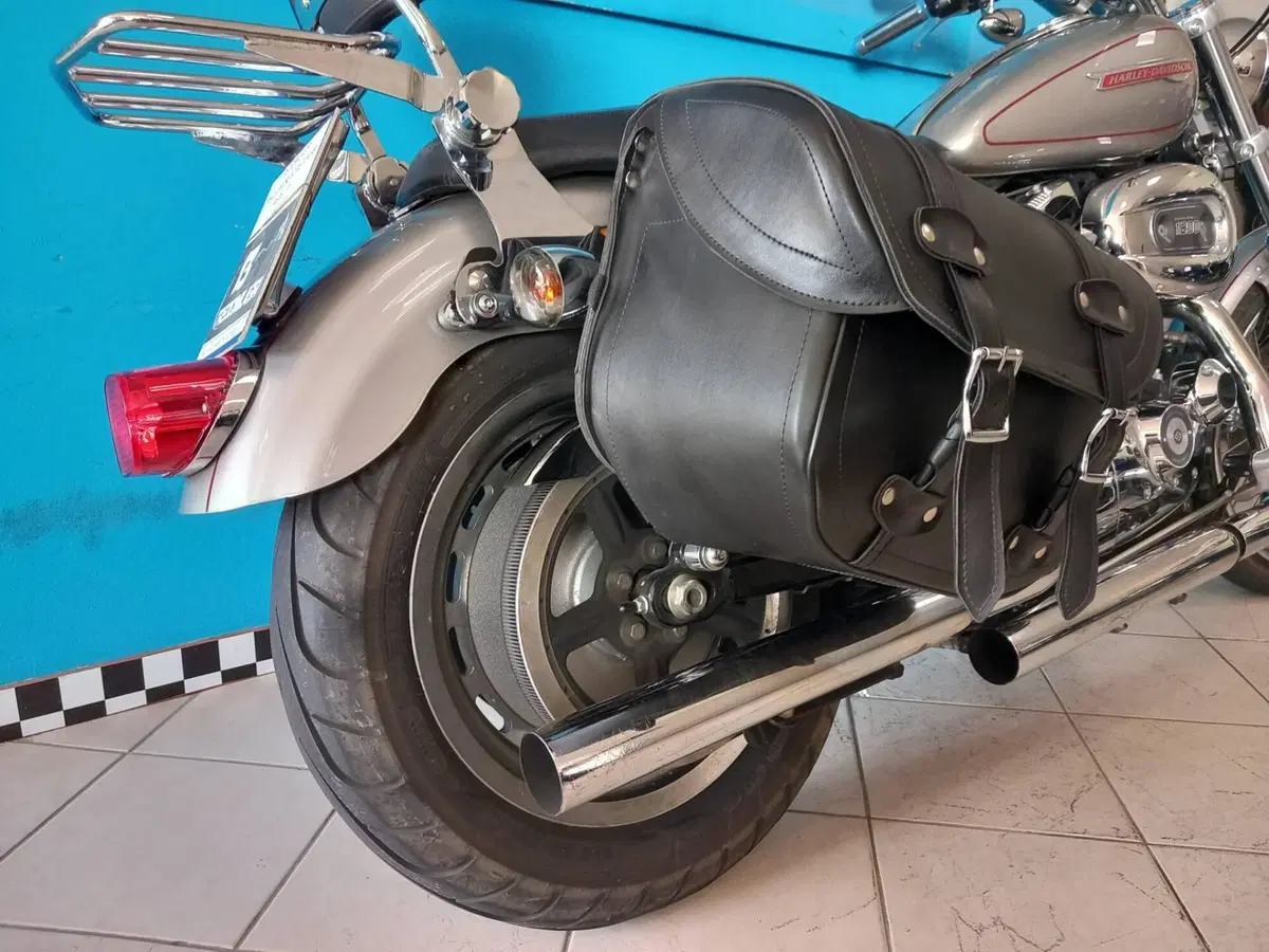 Harley-Davidson 1200 Custom (2007 - 13) - XL 1200C (14)
