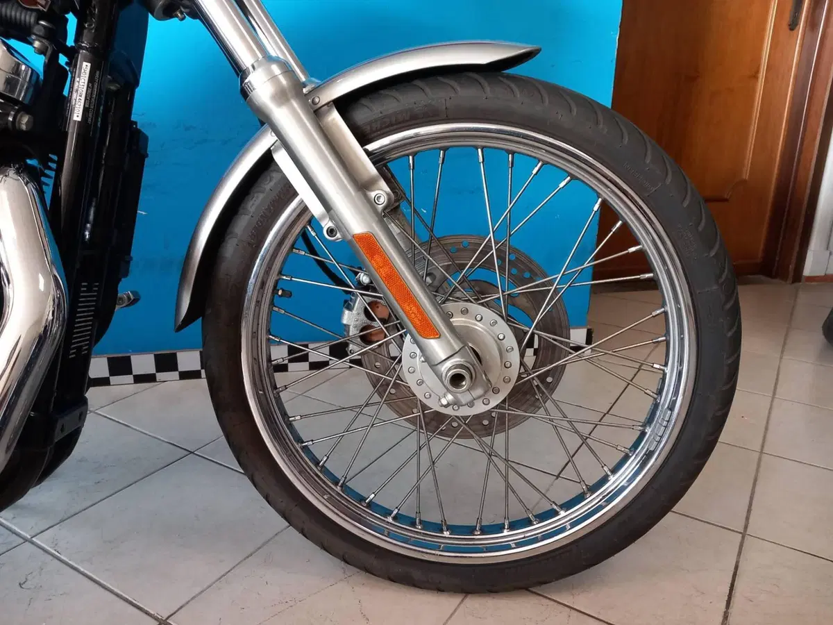 Harley-Davidson 1200 Custom (2007 - 13) - XL 1200C (19)