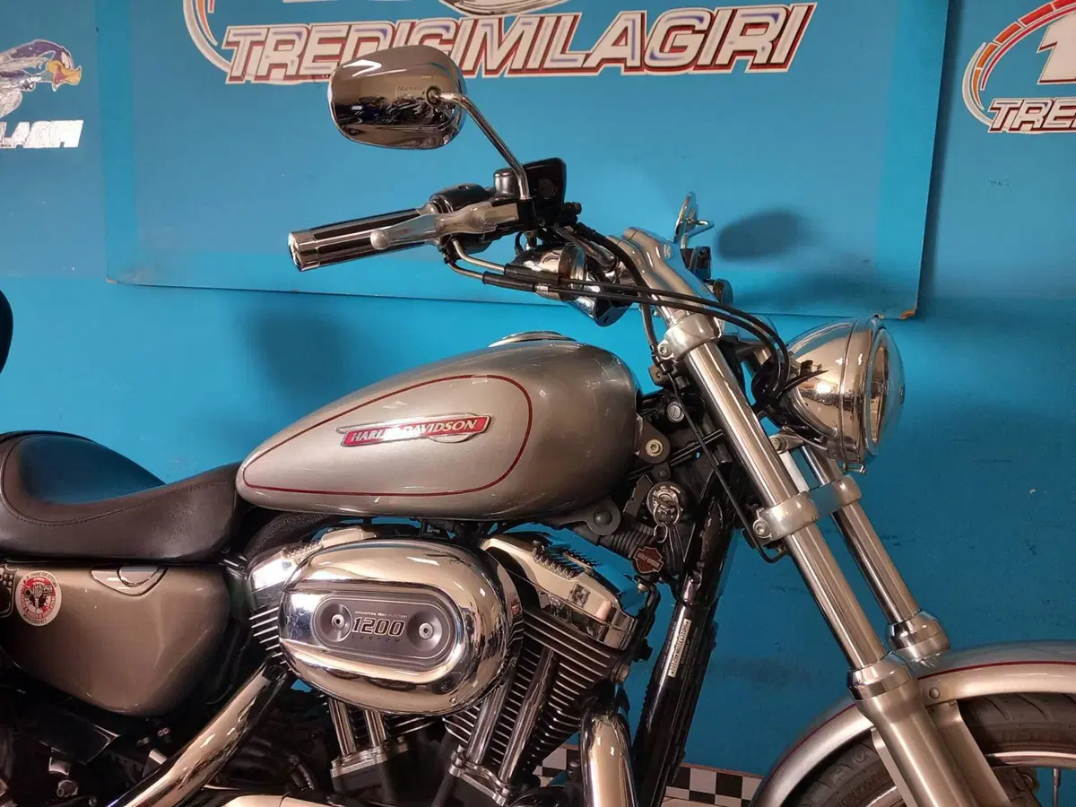 Harley-Davidson 1200 Custom (2007 - 13) - XL 1200C (18)