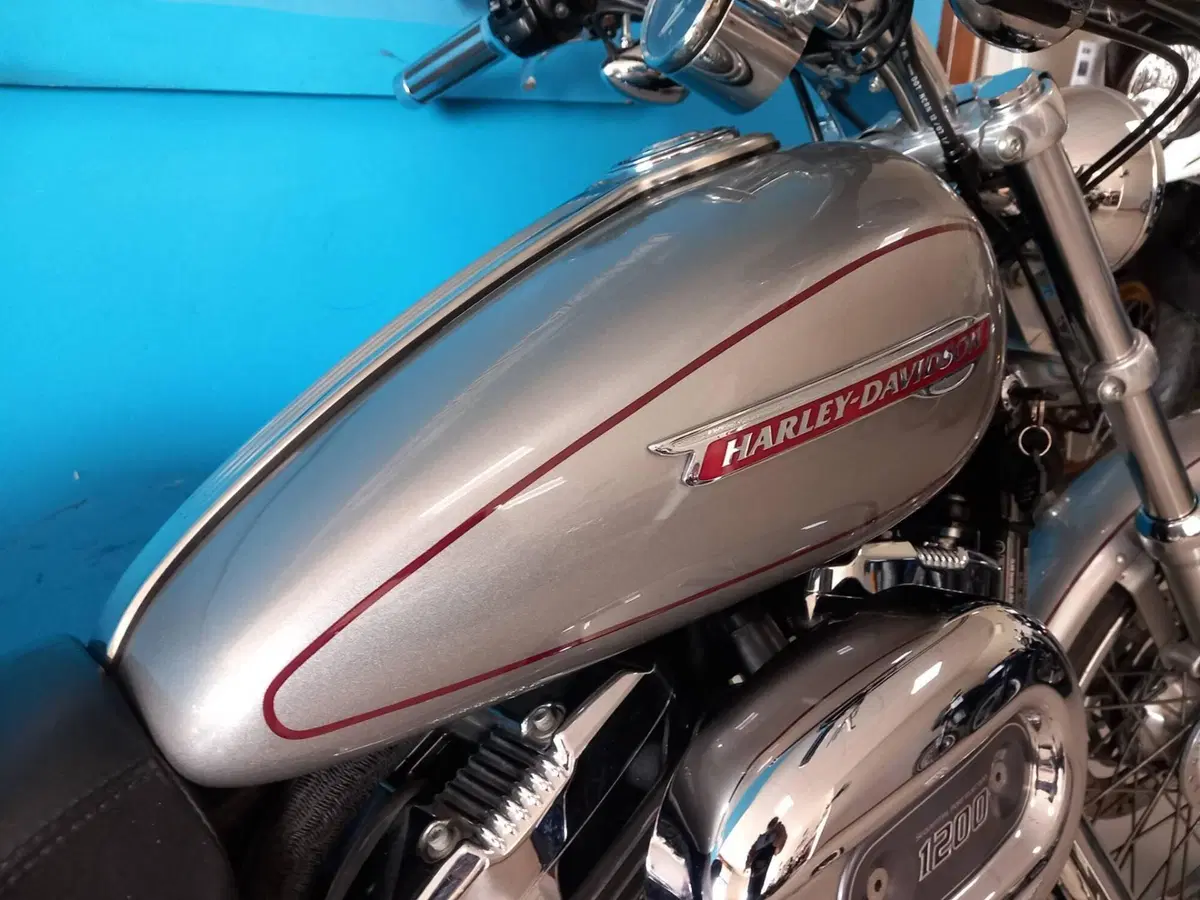 Harley-Davidson 1200 Custom (2007 - 13) - XL 1200C (17)