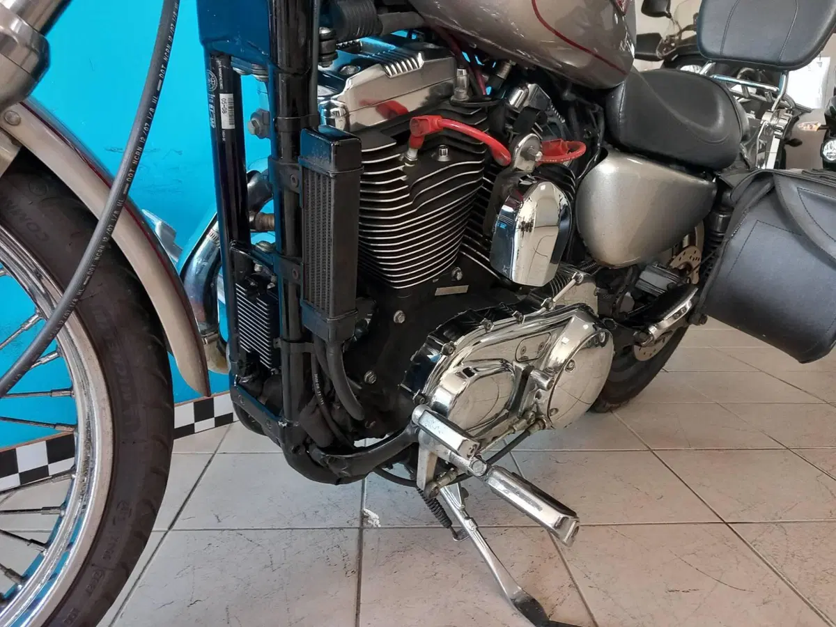 Harley-Davidson 1200 Custom (2007 - 13) - XL 1200C (10)