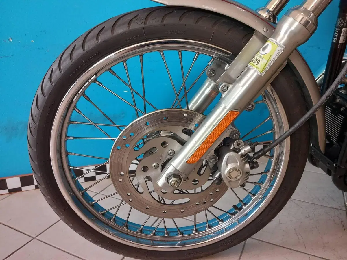Harley-Davidson 1200 Custom (2007 - 13) - XL 1200C (7)
