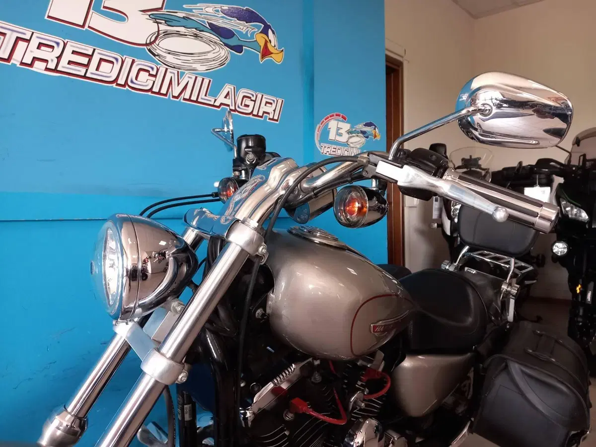 Harley-Davidson 1200 Custom (2007 - 13) - XL 1200C (8)