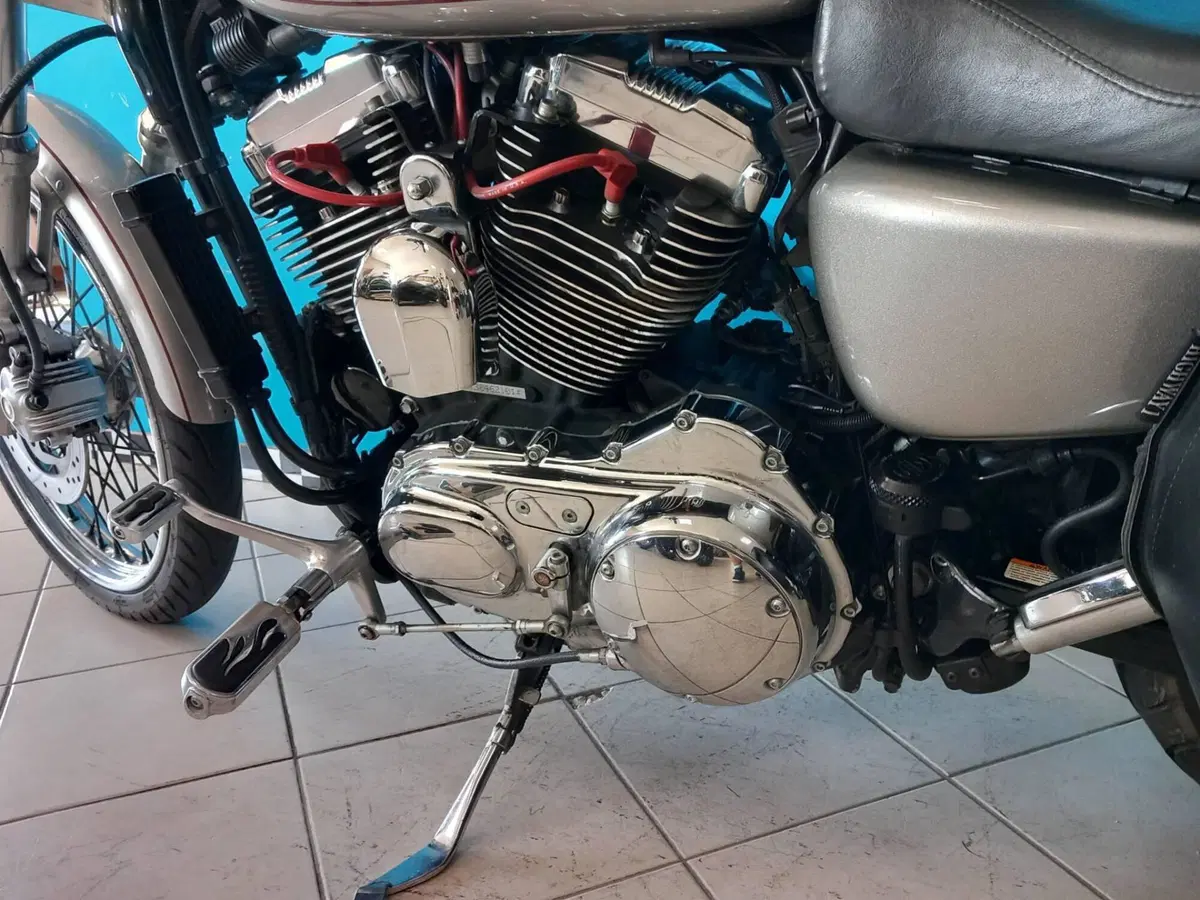 Harley-Davidson 1200 Custom (2007 - 13) - XL 1200C (11)