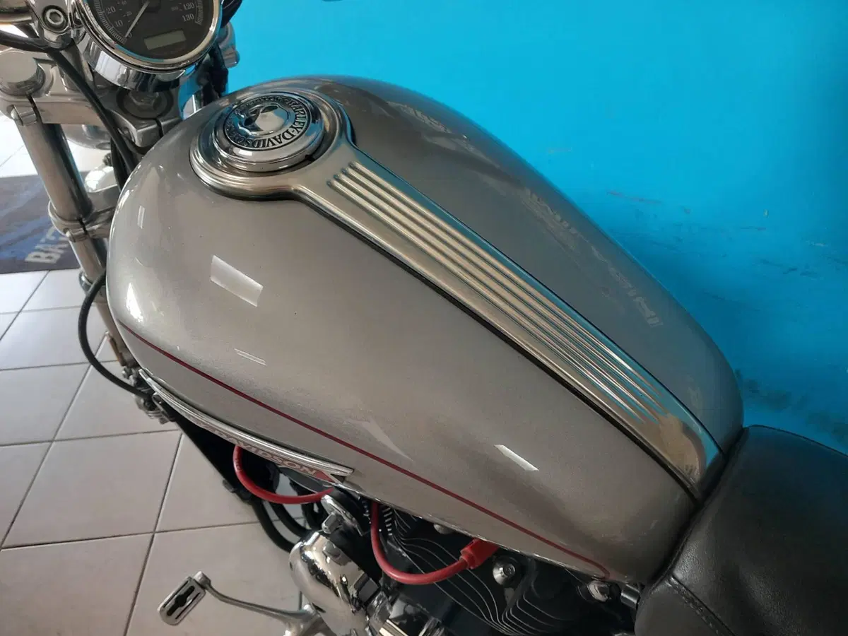 Harley-Davidson 1200 Custom (2007 - 13) - XL 1200C (9)