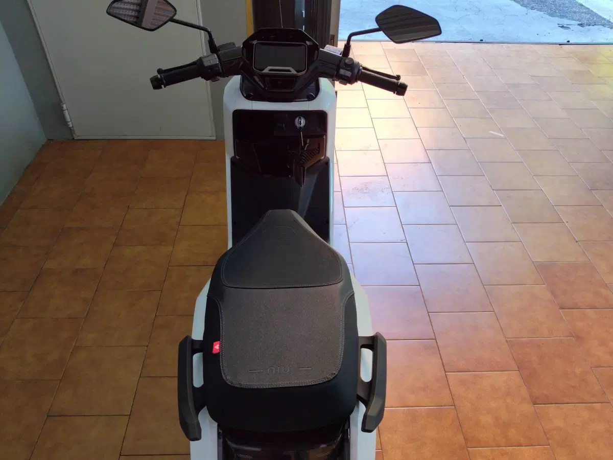 Niu NQiX 500 (2025 - 26) (4)