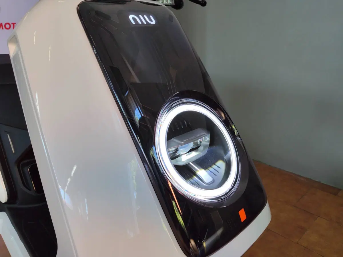 Niu NQiX 500 (2025 - 26) (15)