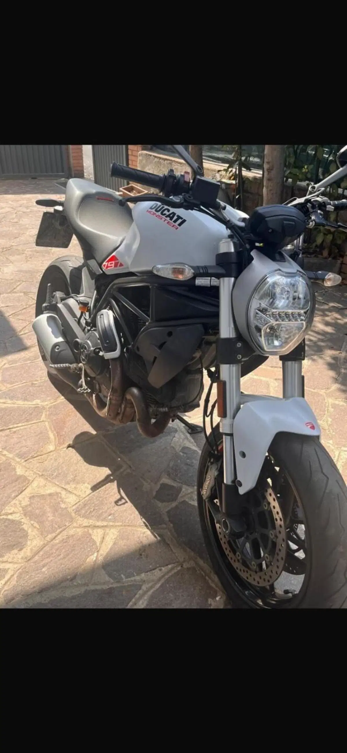 Ducati Monster 797 (2019 - 20)