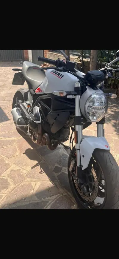Ducati Monster 797 (2019 - 20) usata