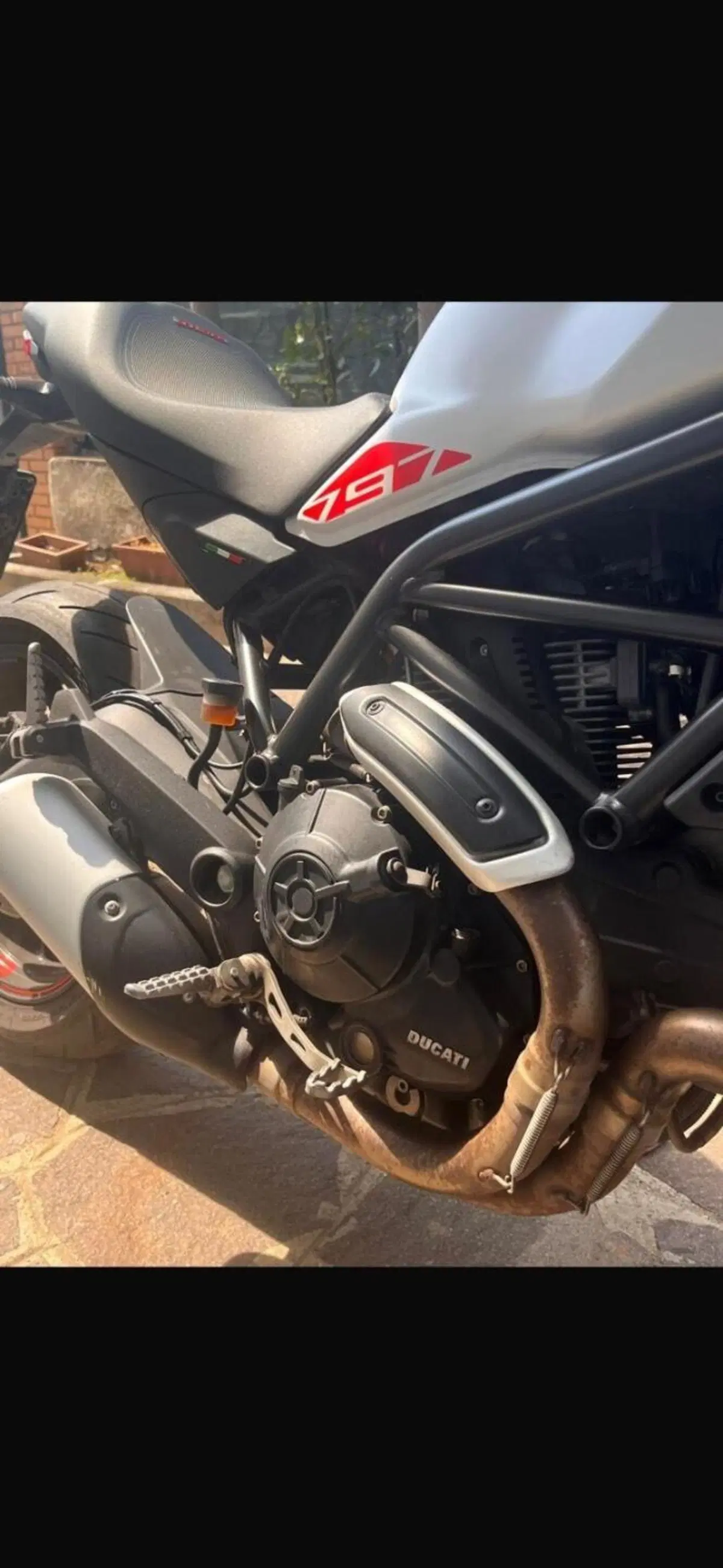 Ducati Monster 797 (2019 - 20) (3)
