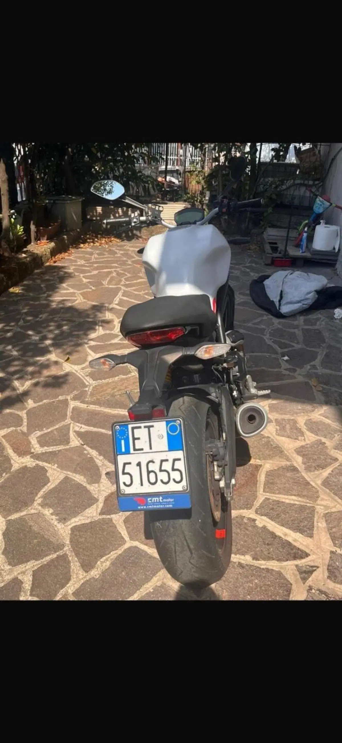 Ducati Monster 797 (2019 - 20) (4)