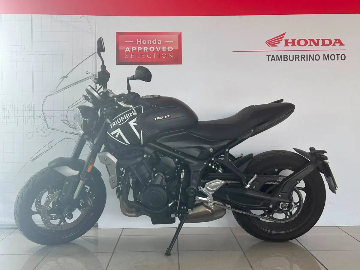 Triumph Trident 660 (2021 - 24) (2)
