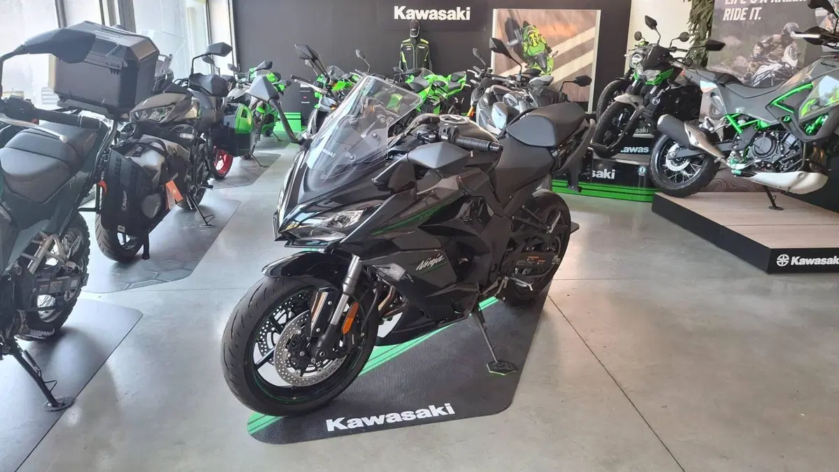 Kawasaki Ninja 1100 SX (2025 - 26) (2)