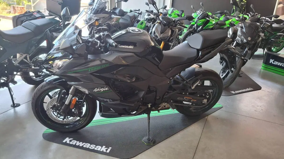 Kawasaki Ninja 1100 SX (2025 - 26) (3)