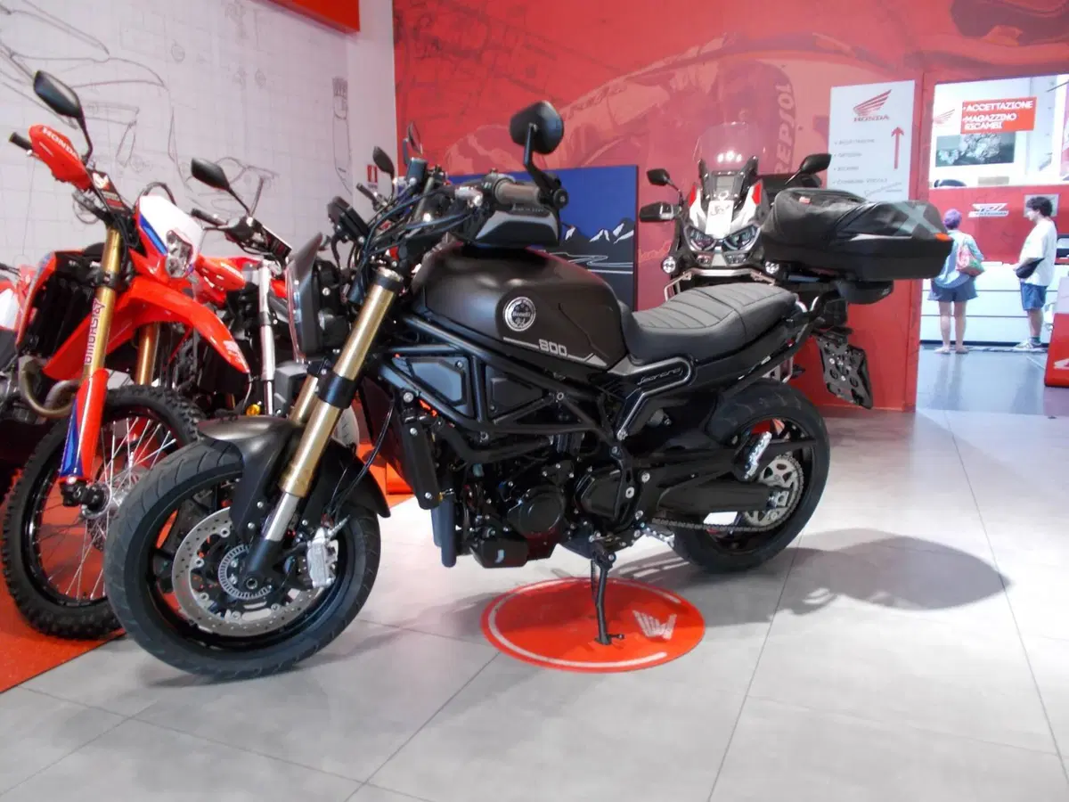 Benelli Leoncino 800 (2022 - 26)