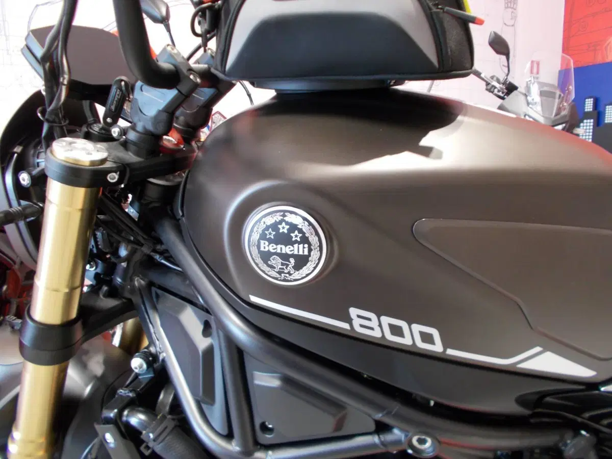 Benelli Leoncino 800 (2022 - 26) (4)