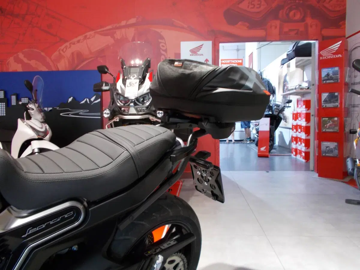 Benelli Leoncino 800 (2022 - 26) (5)