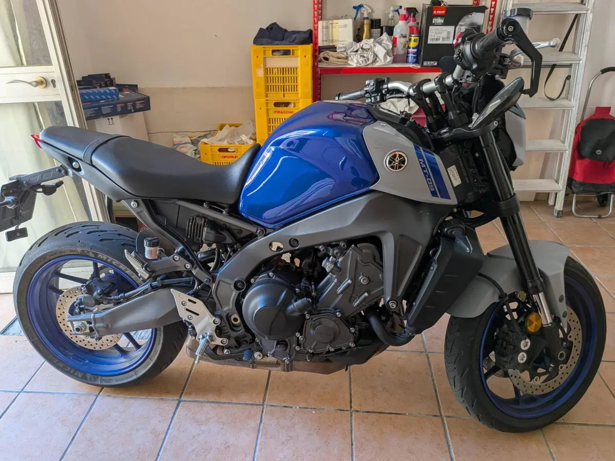Yamaha MT-09 (2021 - 23) (3)