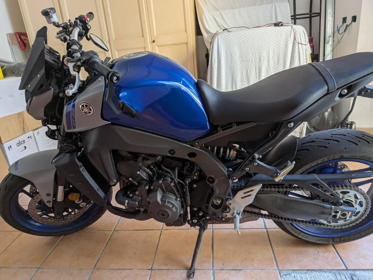 Yamaha MT-09 (2021 - 23) (11)