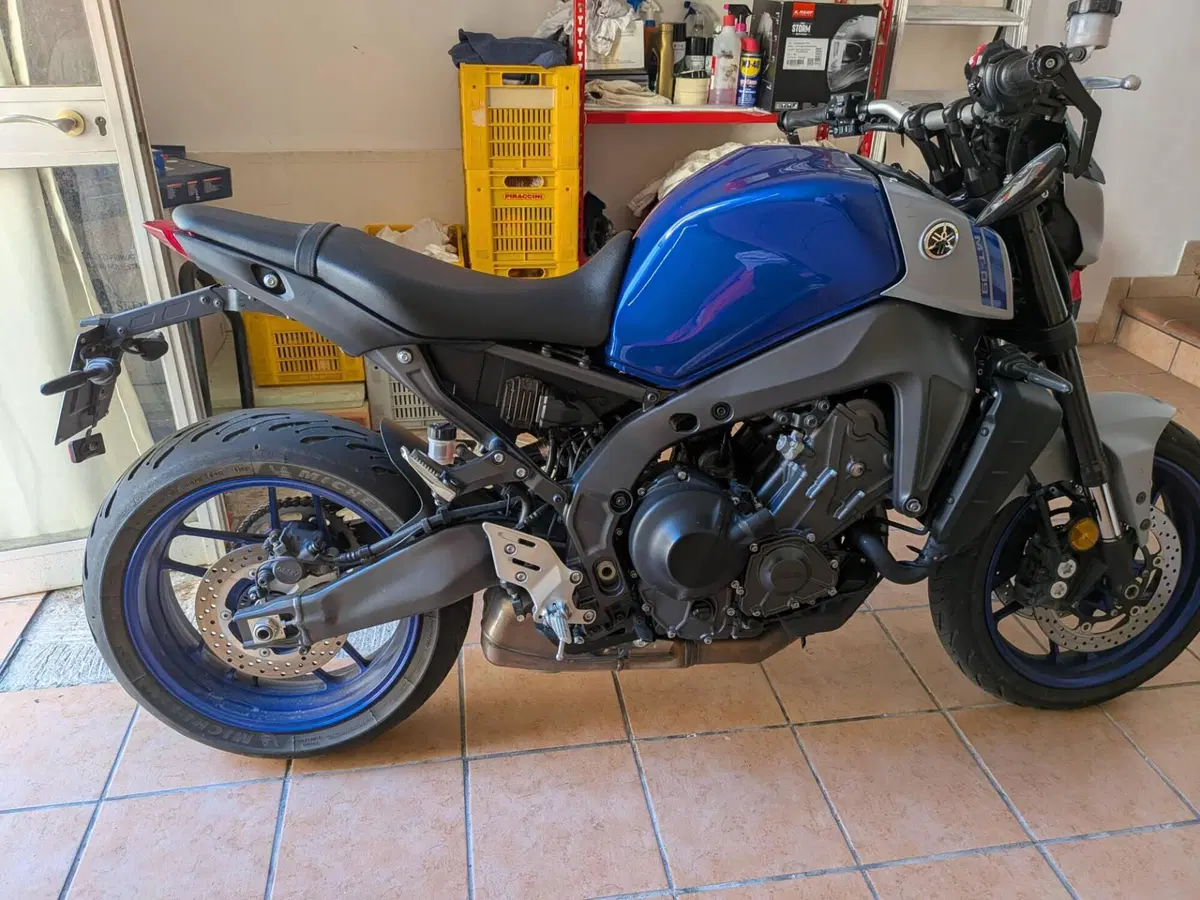 Yamaha MT-09 (2021 - 23) (12)