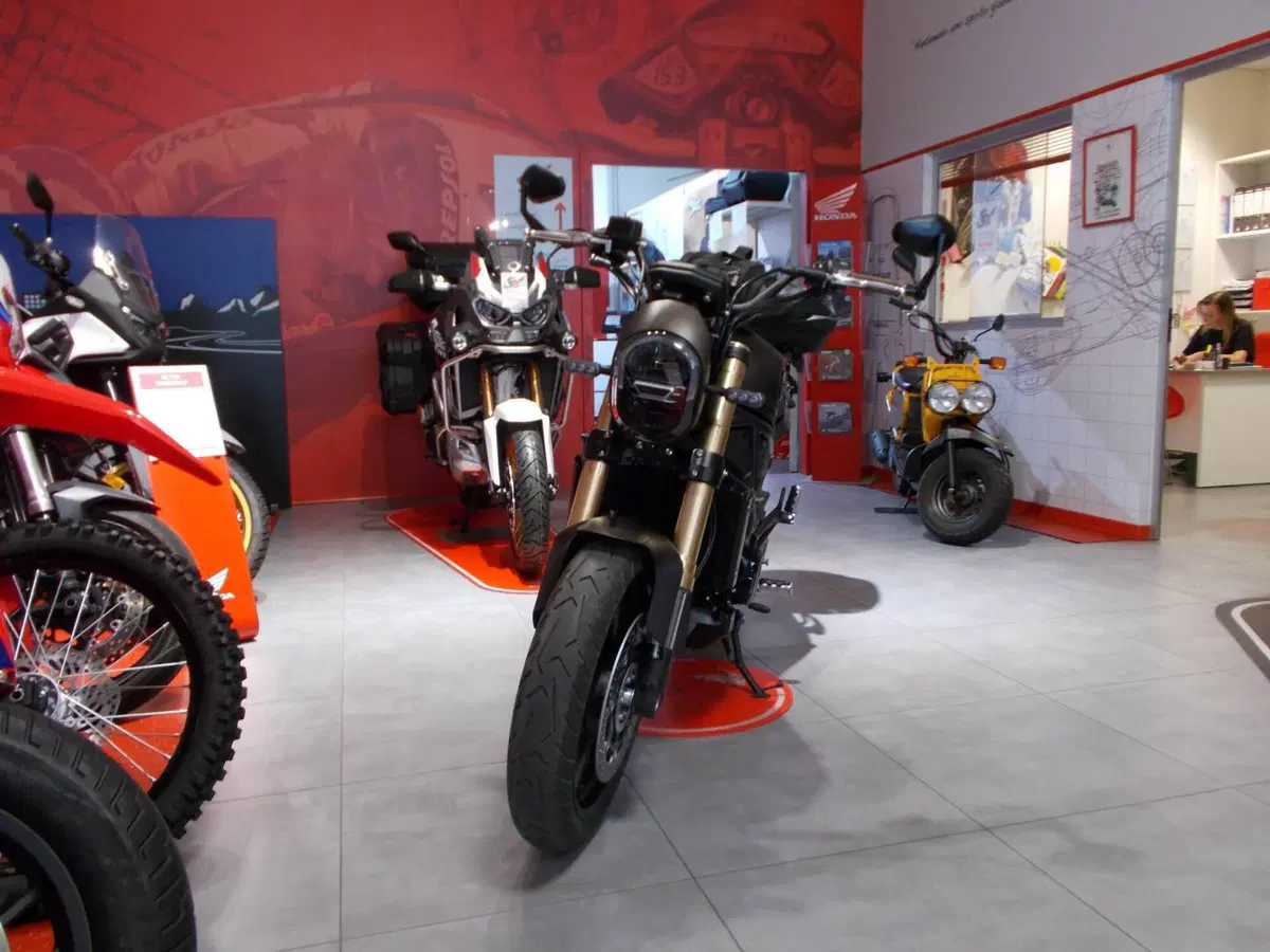 Benelli Leoncino 800 (2022 - 26) (8)