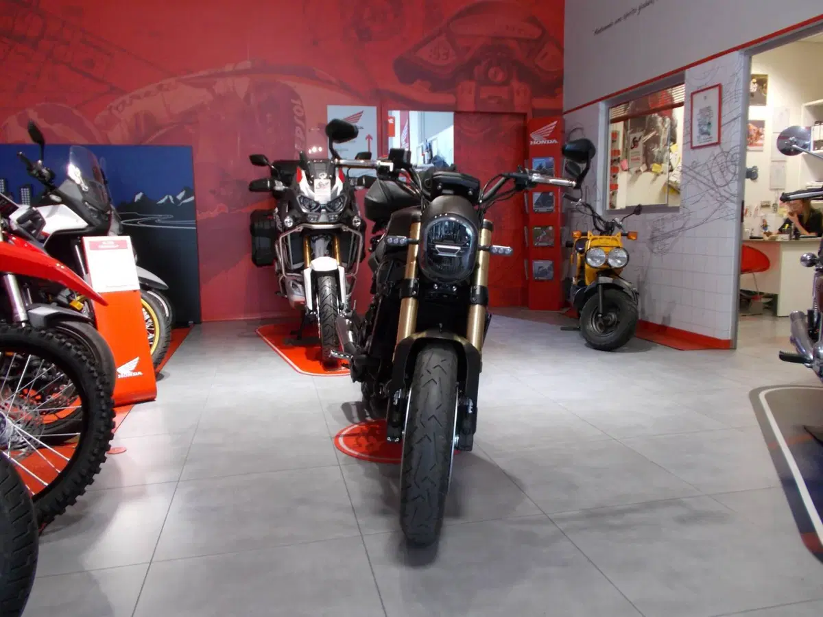 Benelli Leoncino 800 (2022 - 26) (9)