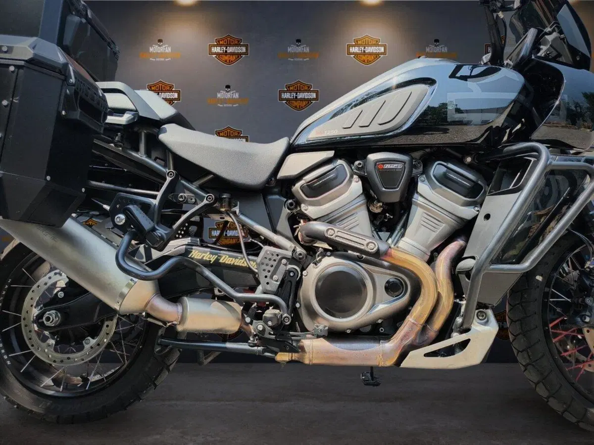 Harley-Davidson Pan America 1250 Special (2020 - 25) (4)