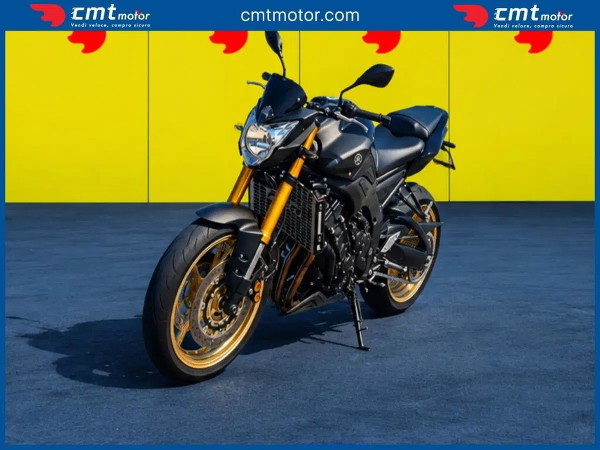 Yamaha FZ8 ABS (2010 - 13) (2)