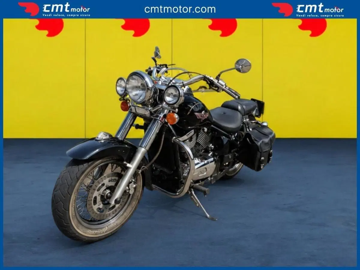 Kawasaki VN 800 Classic (2001 - 06) (2)