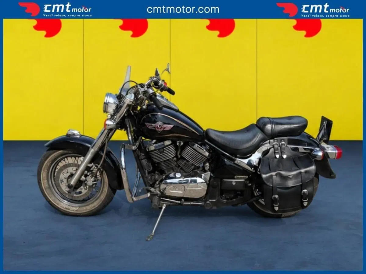 Kawasaki VN 800 Classic (2001 - 06) (3)