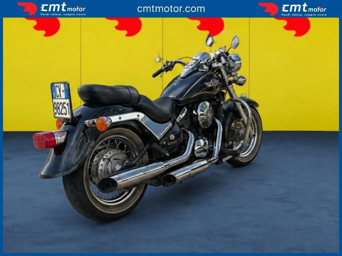Kawasaki VN 800 Classic (2001 - 06) (4)