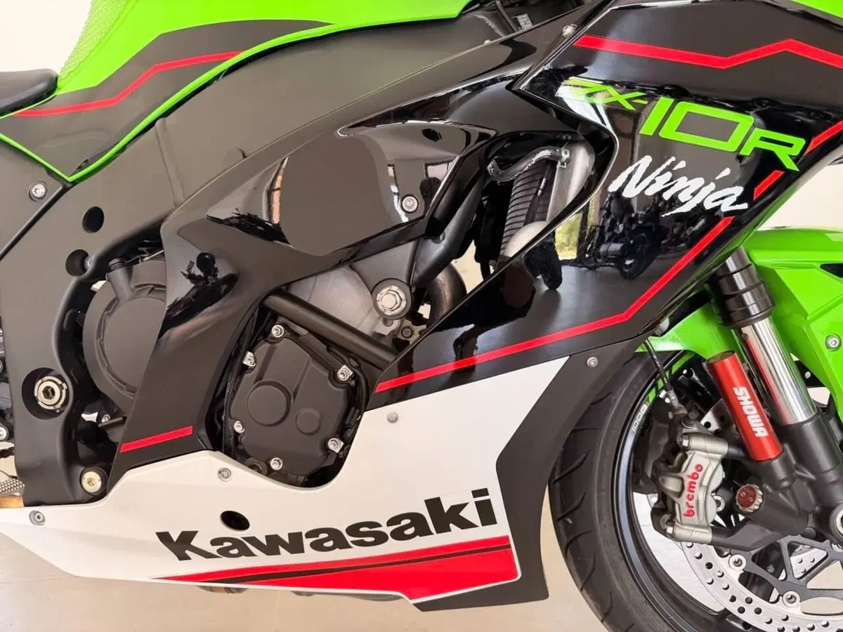 Kawasaki Ninja 1000 ZX-10R Performance (2021 - 24) (2)