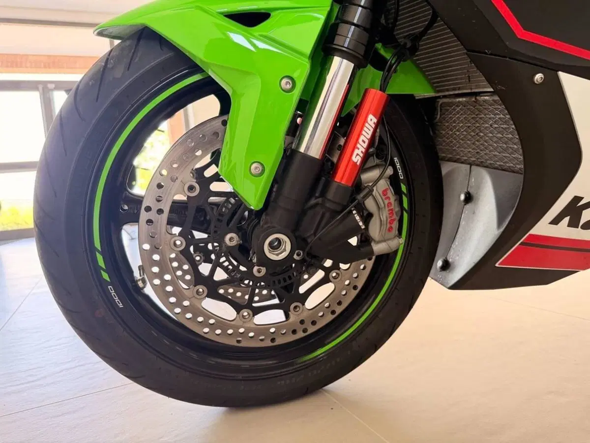 Kawasaki Ninja 1000 ZX-10R Performance (2021 - 24) (3)