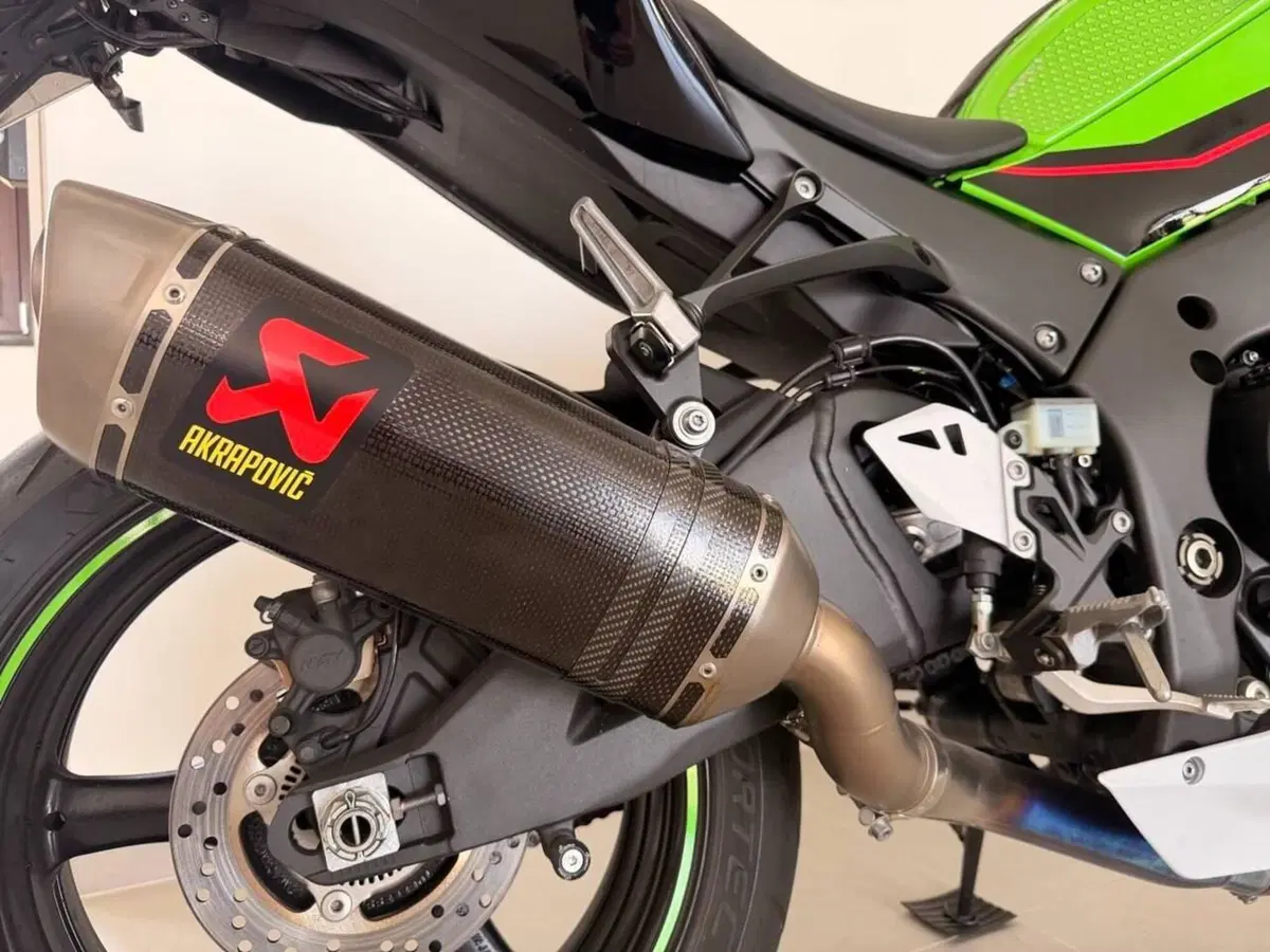 Kawasaki Ninja 1000 ZX-10R Performance (2021 - 24) (7)