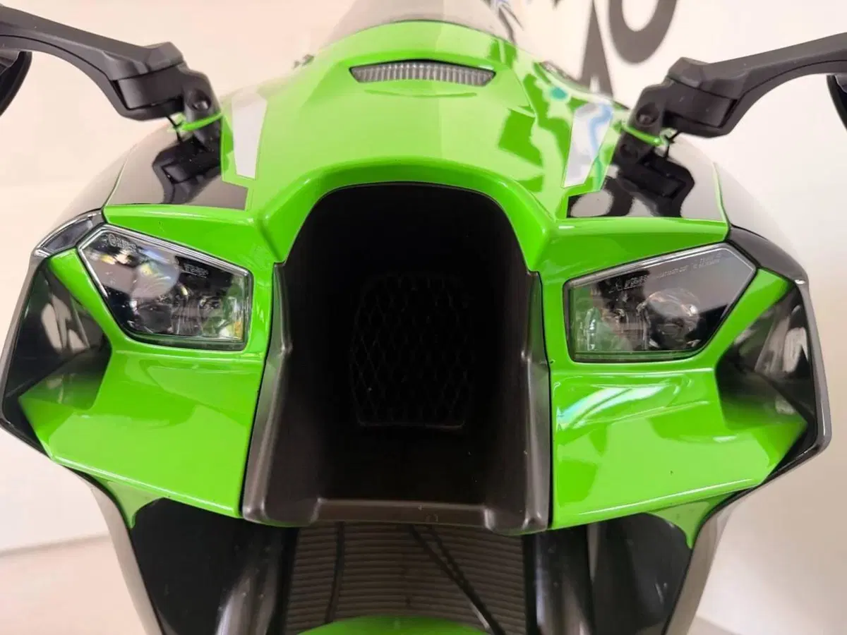 Kawasaki Ninja 1000 ZX-10R Performance (2021 - 24) (8)