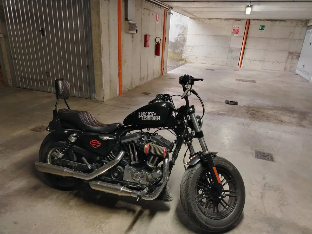 Harley-Davidson 1200 Forty-Eight Special (2018 - 20) (2)