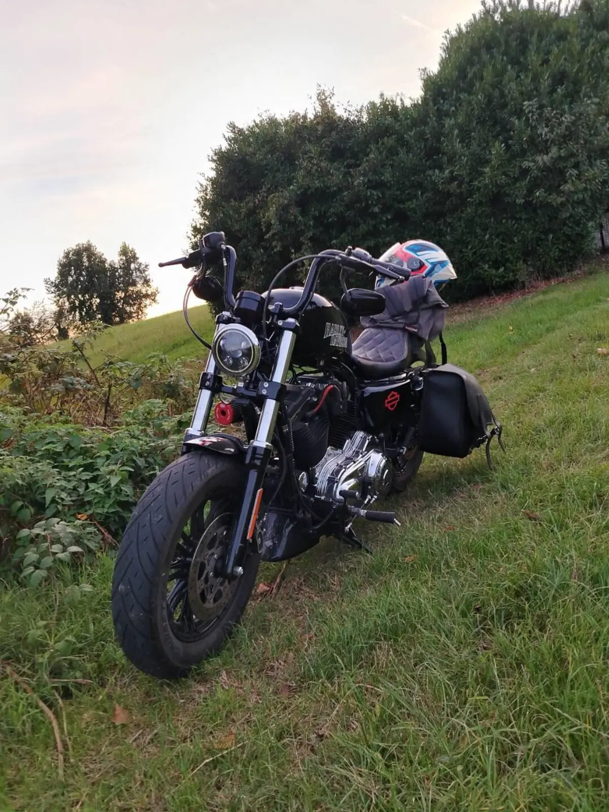 Harley-Davidson 1200 Forty-Eight Special (2018 - 20) (5)