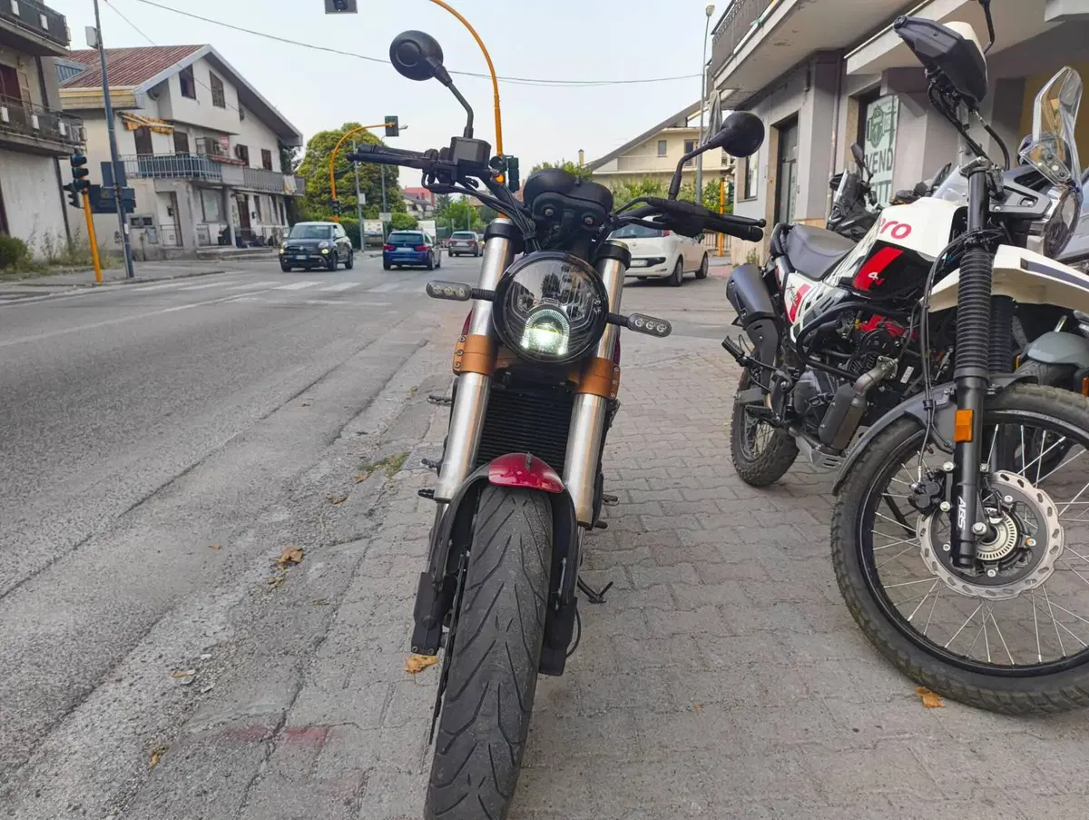 Benelli Leoncino 500 (2021 - 25) (3)