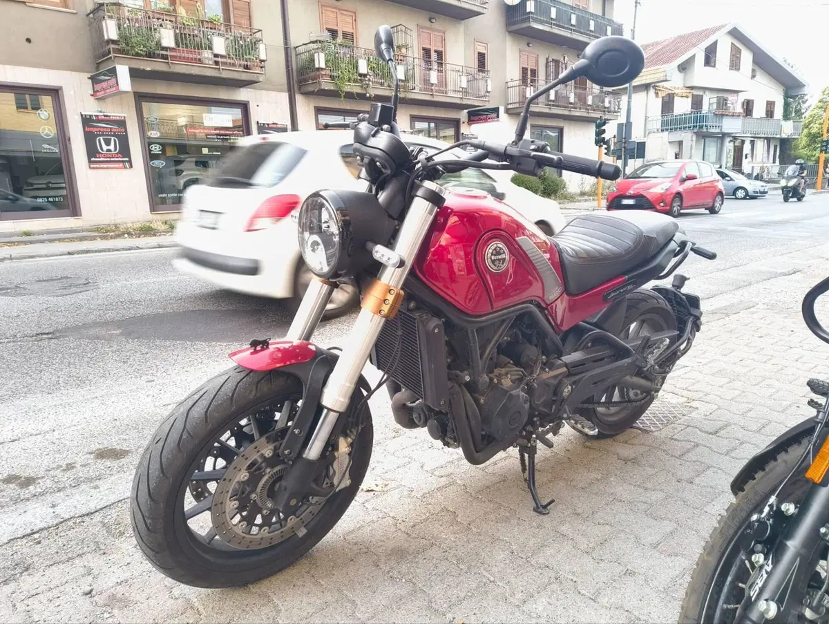 Benelli Leoncino 500 (2021 - 25) (4)