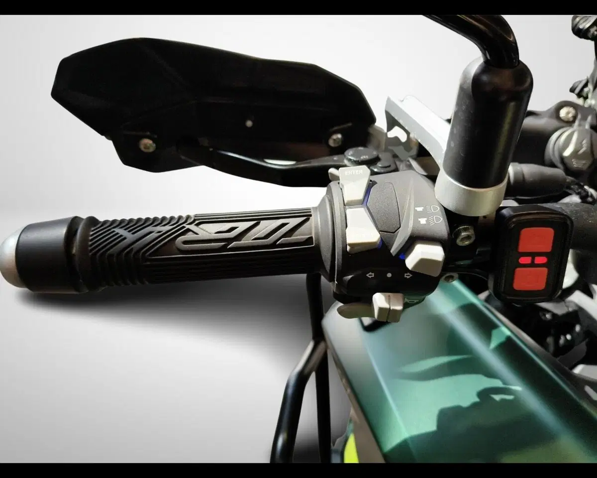 Benelli TRK 702 (2023 - 25) (10)