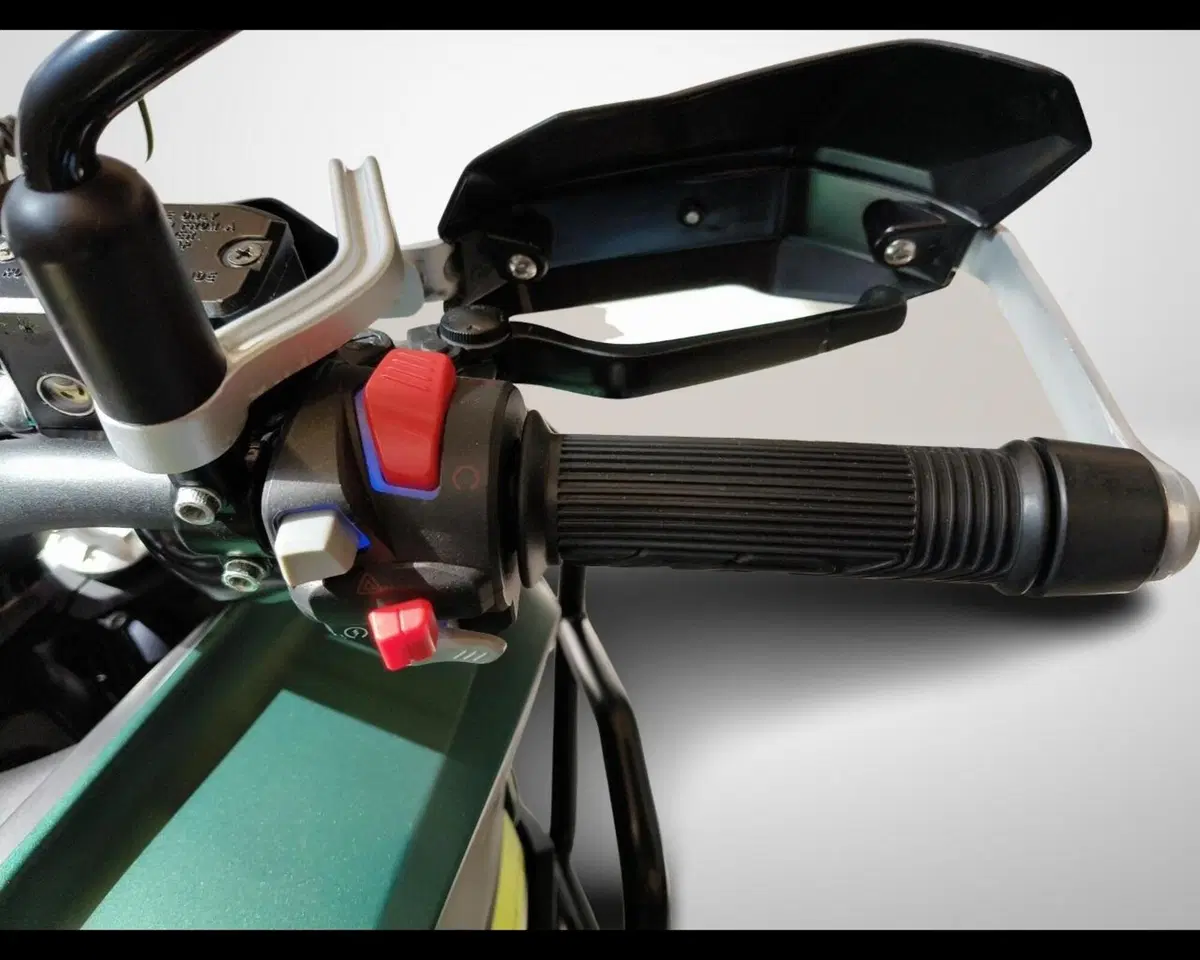 Benelli TRK 702 (2023 - 25) (11)
