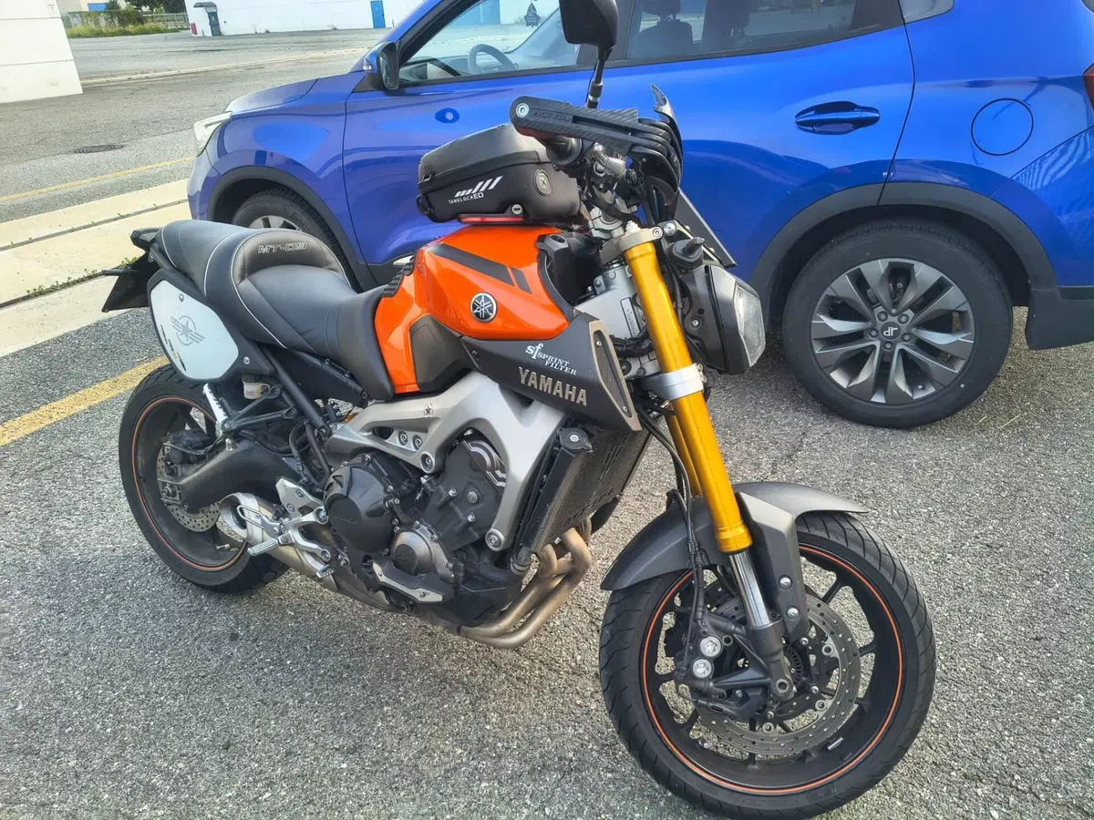 Yamaha MT-09 ABS (2013 - 15) (6)