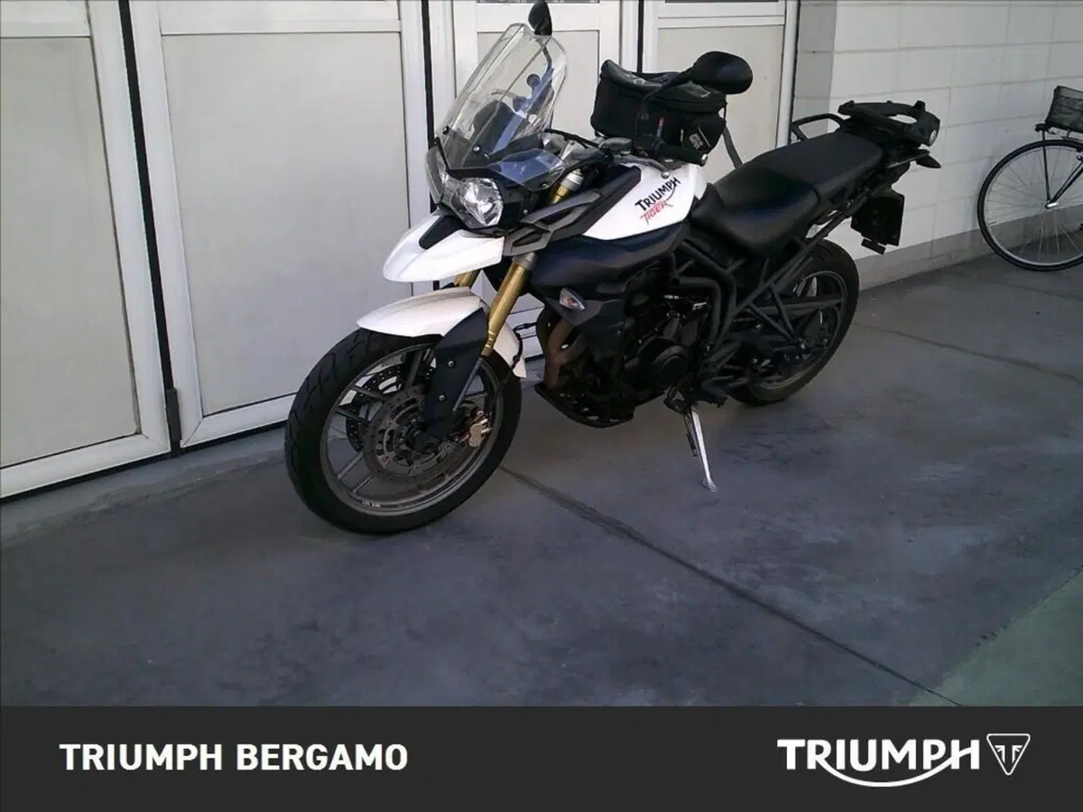 Triumph Tiger 800 ABS (2010 - 14) (3)