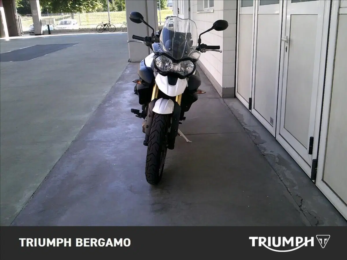 Triumph Tiger 800 ABS (2010 - 14) (5)